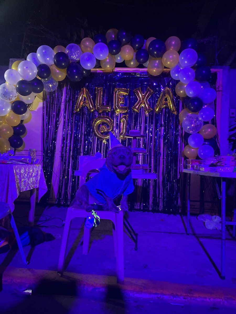 imangelroxas's tweet photo. Alexa turn 1 yesterday and i was so stress and tiered yesterday since i had work but we made it!!! Thank you everyone who helped an made sure alexa had a goodtime ❤️ https://t.co/GsN4QNeQve