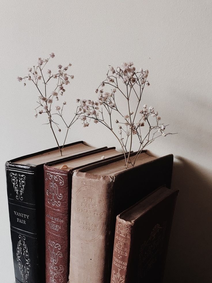 shineyonce's tweet photo. ✿ livros lidos em 2022 ✿

“Às vezes a leitura é um modo engenhoso de evitar o pensamento.” - A. Helps https://t.co/225EF640fa