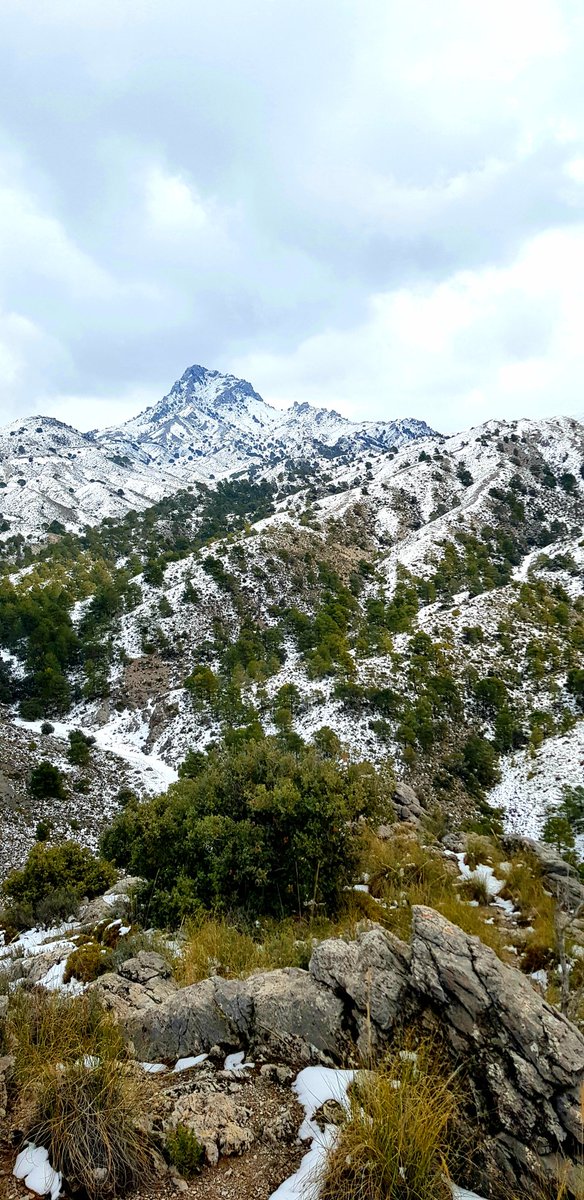 BaMig_'s tweet photo. #trevenque 
#sierranevada #granada #parquenatural https://t.co/BGKikcF4JF