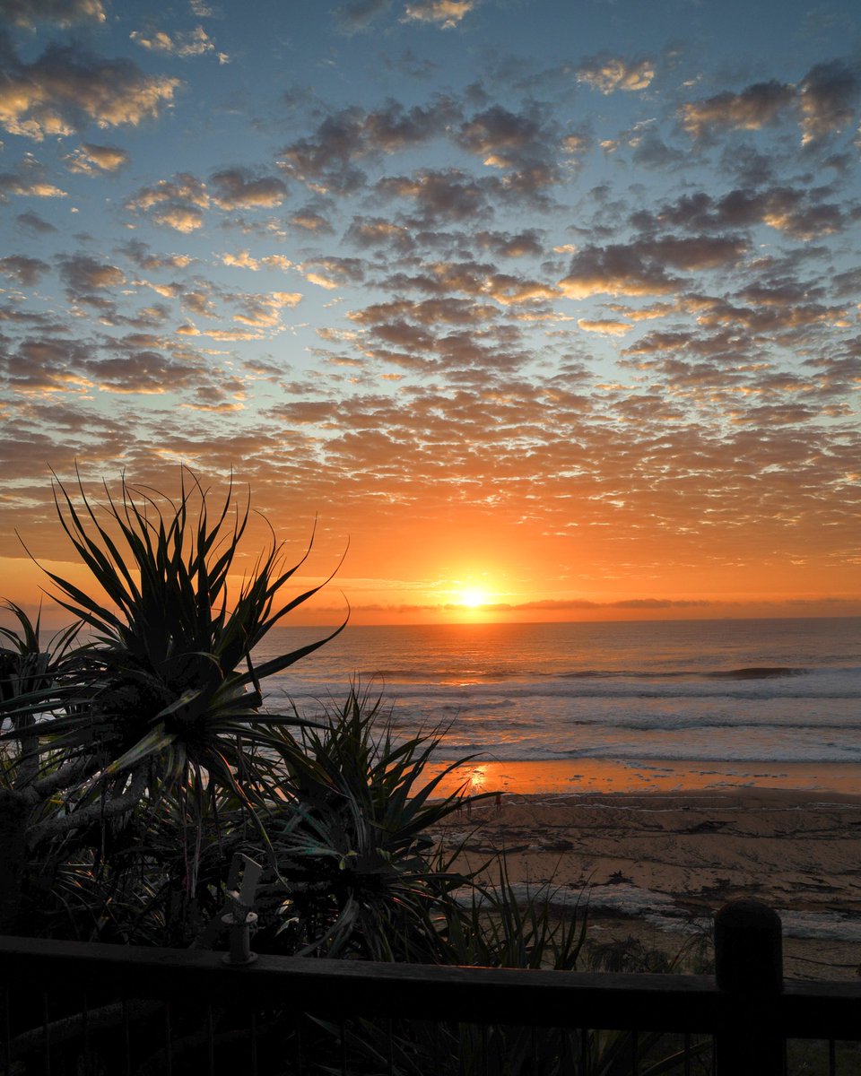 ALP_Australia's tweet photo. Took my camera out for a spin this morn. Was not disappointed…@sunshinecoastoz @Queensland @Australia @GalsWander #landscapephotography #sunrise #sunshinecoast #australia https://t.co/1rzUKBcfkT