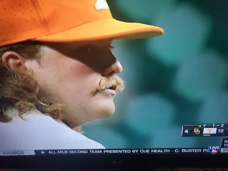 bigdonkey47's tweet photo. Describe this stache in one word, I’ll go first: elegant https://t.co/NiHttSMT7W