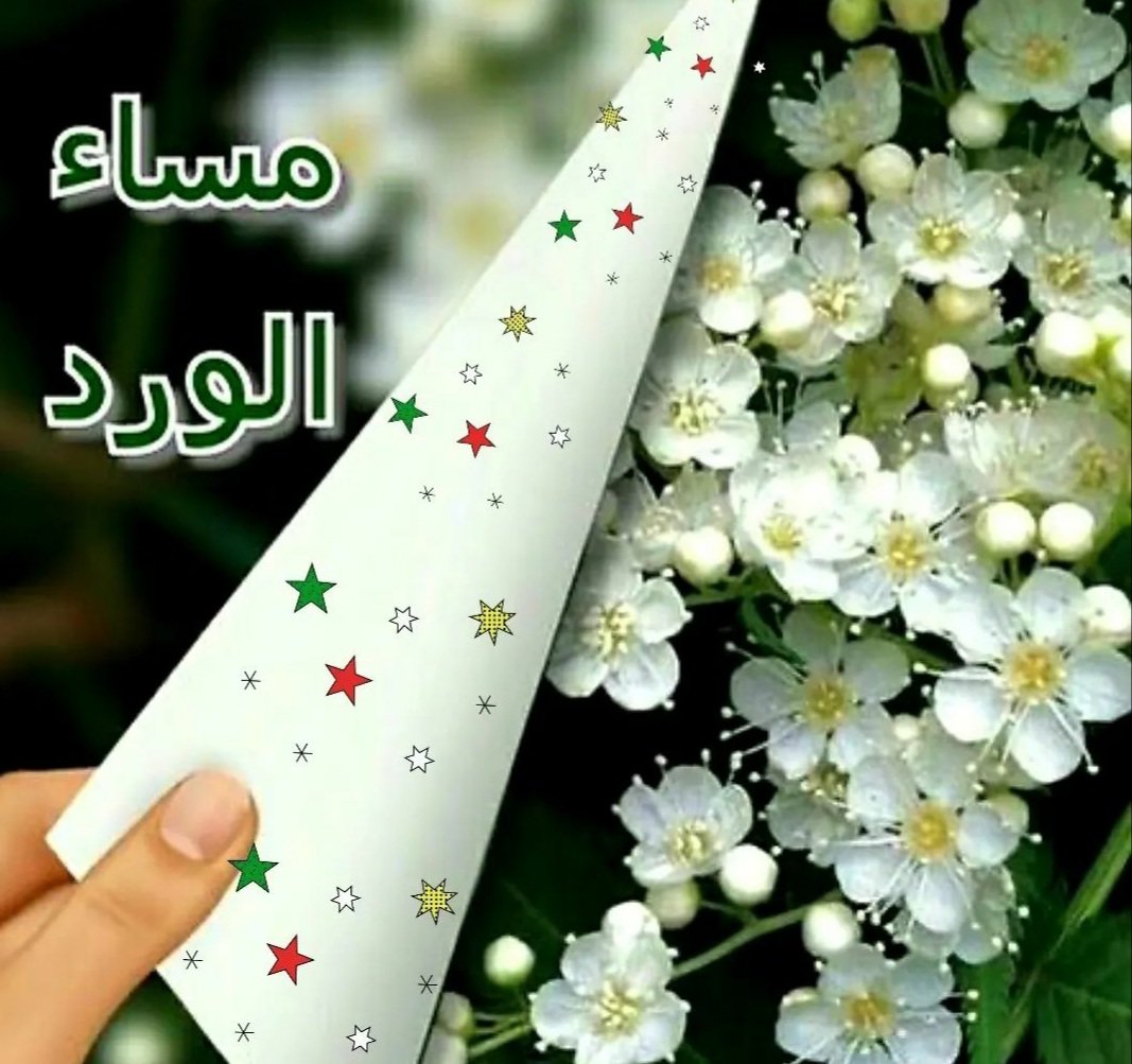 fd679's tweet photo. مساء الورد والطيبه عليكم 🌼🌺🌼🌺🌼🌺 https://t.co/LKppuSbAtz