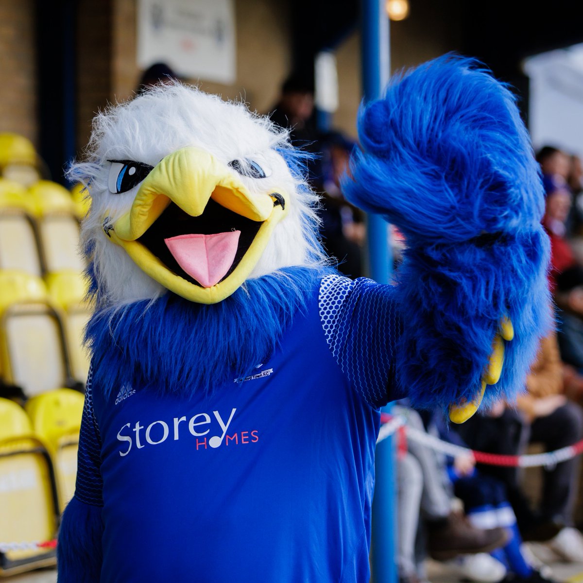 𝗕𝗲𝗱𝗳𝗼𝗿𝗱 𝗧𝗼𝘄𝗻 𝗙𝗖 | 𝗘𝘀𝘁 𝟭𝟵𝟬𝟴 (@bedfordtown) on Twitter photo 📙 The March 2022 edition of the <a href="/BedsLife/">BedsLife Magazine</a> magazine is available to view via Issuu at tinyurl.com/4r4jr8rw
As always, lots of great content throughout plus the usual #Eagles column on page 66 👀 📙 The March 2022 edition of the <a href="/BedsLife/">BedsLife Magazine</a> magazine is available to view via Issuu at tinyurl.com/4r4jr8rw
As always, lots of great content throughout plus the usual #Eagles column on page 66 👀