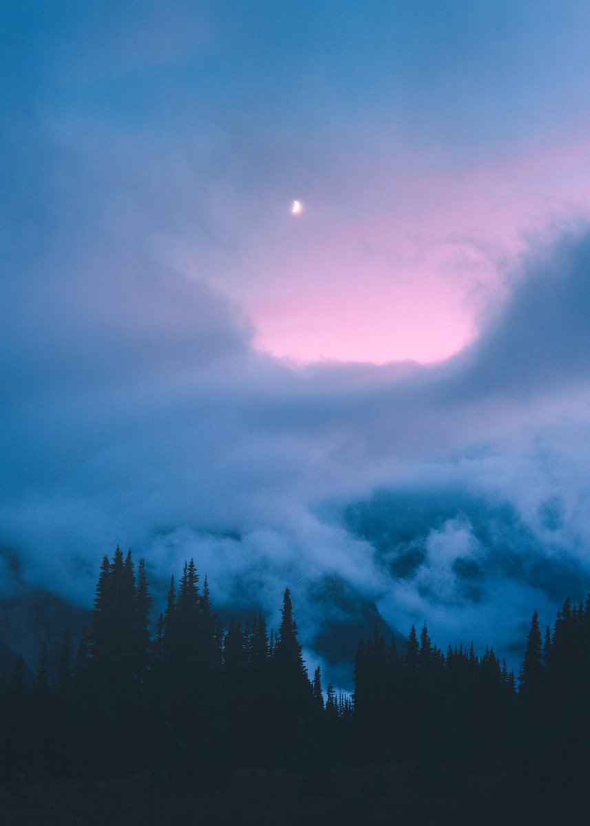 somewhere between moon shadow and morning