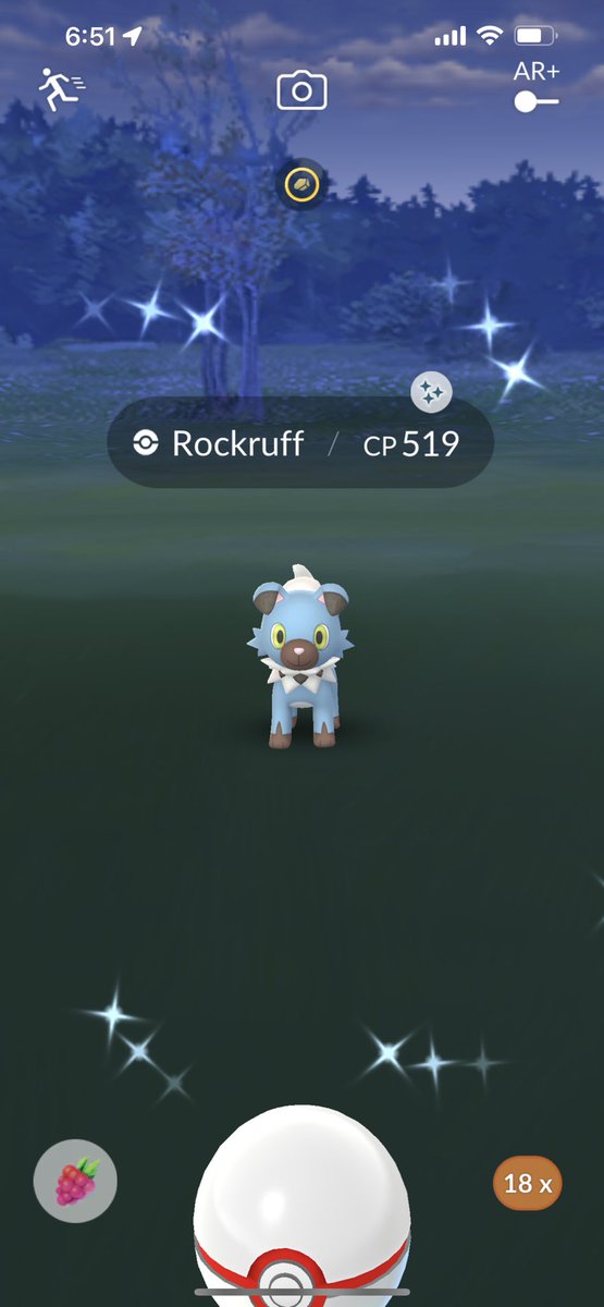 colorsofcleo's tweet photo. Got my third shiny doggo!!! Now I can have the whole shiny fam together 💙✨ thanks @tracyliseonpogo for the invite!! ☺️ #pokemon #pokemongo #pogo #shiny #shinypokemon #rockruff #rockruffraid https://t.co/Z0iwBL44p5