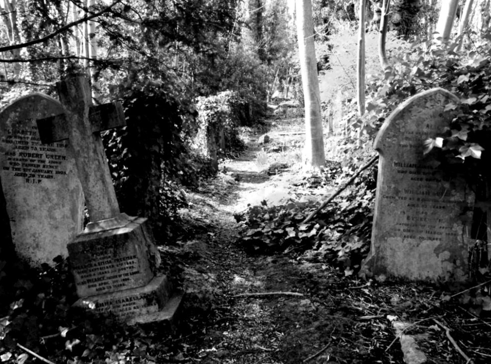 Nights_OfTerror's tweet photo. This place is an amazing walk, but it's a different story after dark! Very eerie #nightsofterror #ghosthunting #scary #spooky https://t.co/dSYaytmUqh