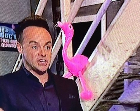 Donz125's tweet photo. Found the pink flamingo backstage! Love 8 year old Sophie 🦩 #SaturdayNightTakeaway https://t.co/XLIsu6Cxw5