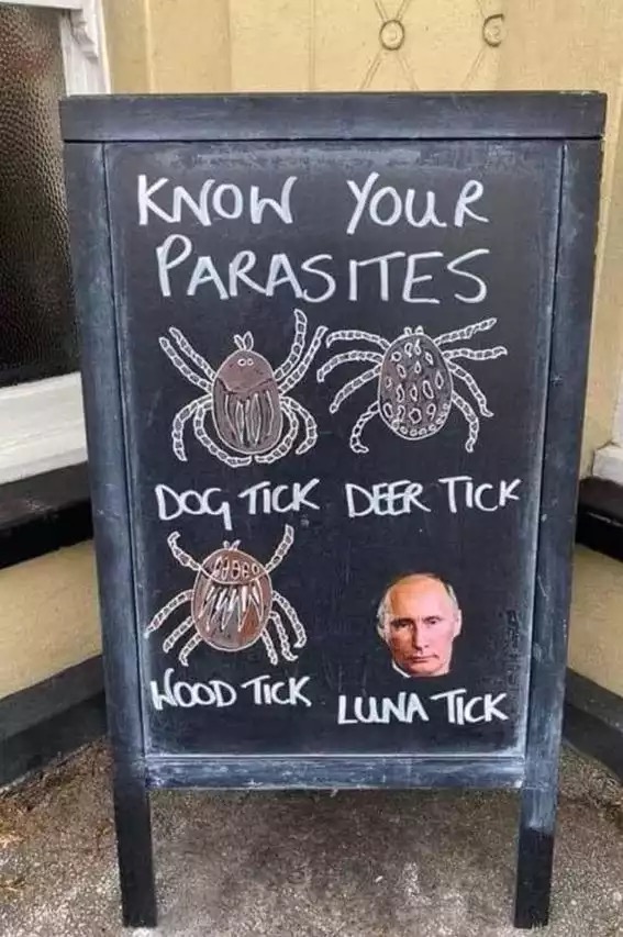 Sam Telford tweet media