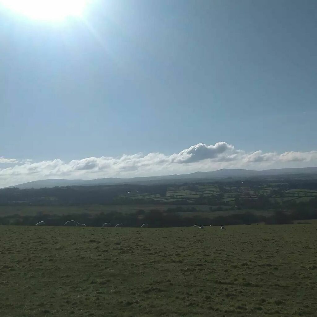 daveholwill's tweet photo. Lovely day for walking on the Moors,  if that's your thing
#LoveDevon #LoveDartmoor #ViewFromTheGate #Devon #Dartmoor #DartmoorNationalPark https://t.co/LevEQbZUaH https://t.co/82FY6VQbsK