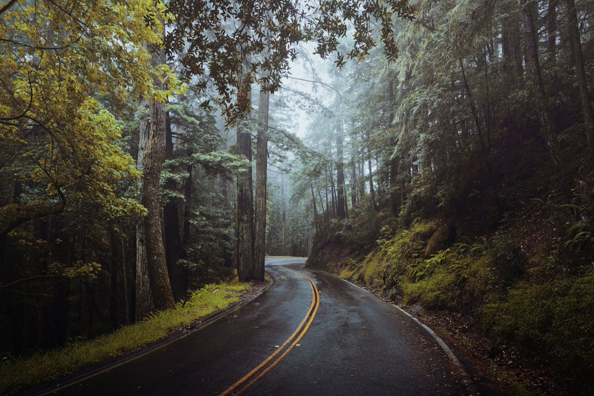 alexxhinson's tweet photo. shades of green https://t.co/d3NFS8gVOh