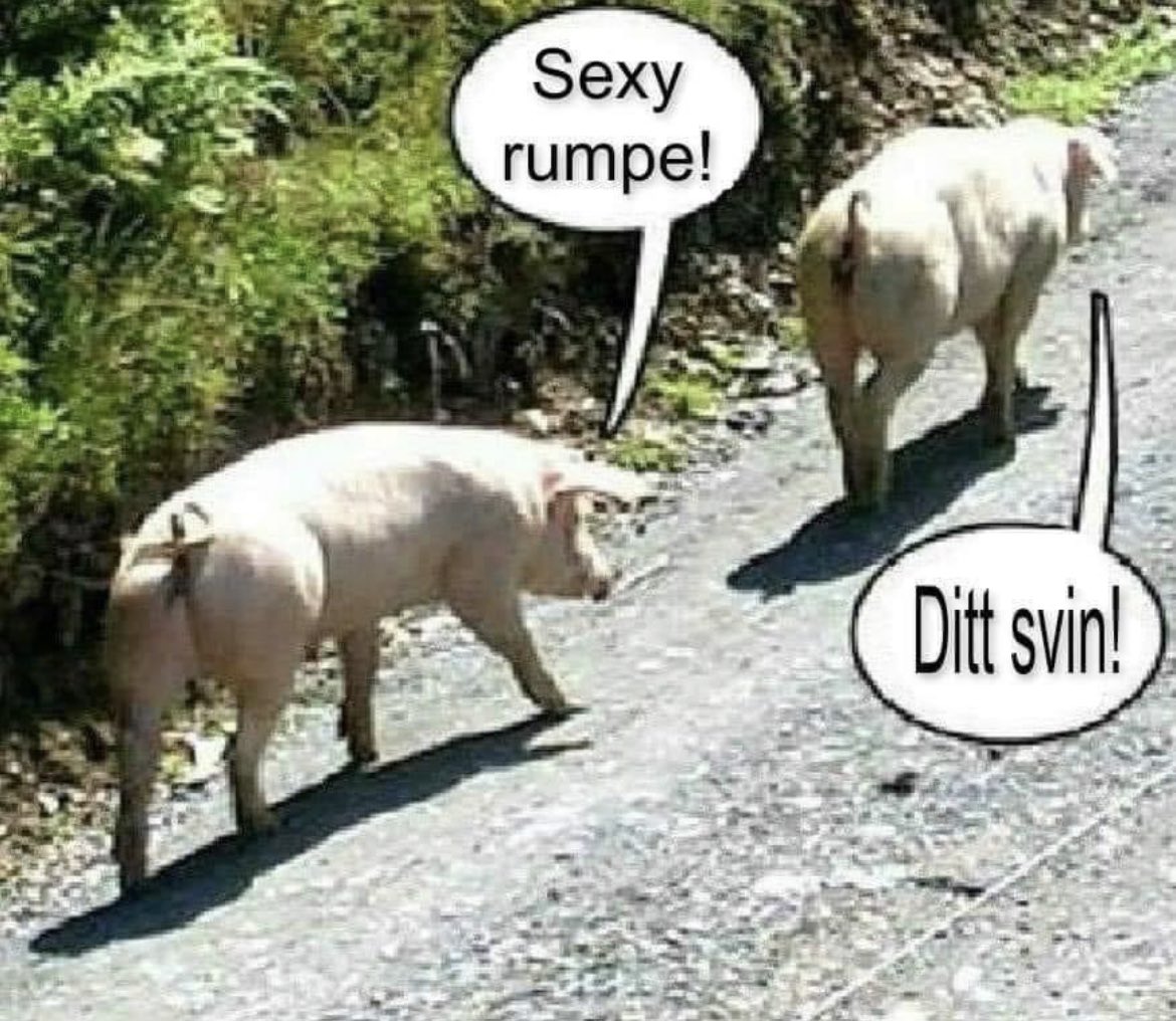 akaalars's tweet photo. @Revetal Tenkte på din humor, da jeg så denne❣️😁 https://t.co/ECTnEmKQ9r
