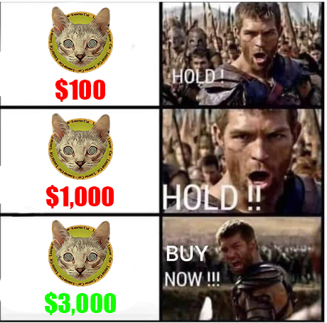 luscuscat's tweet photo. Have time to buy yourself a coin - PancakeSwap (https://t.co/xG5S178BkJ)

#Crypto #cryptocurrency #CryptocurrencyNews #CryptoNews #cryptonewsdaily #cryptomemes #memesdaily #Memes #memes2022 https://t.co/g5OUklBXJA