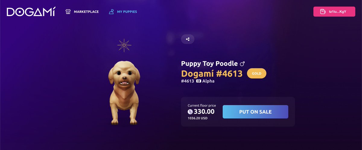 satanicgoateth's tweet photo. @Dogami Congratulations for a great drop experience! Glad to have adopted this Toy Poodle 🐶 https://t.co/ubpA9Gziqj