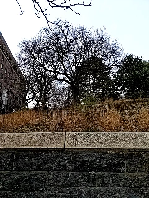 DaSitu found #ethereum in a User vault at this location! Join me playing #coinhuntworld, It's awesome! coinhunt.gsc.im/4t9x2LRbWA #cryptocurrency #107924