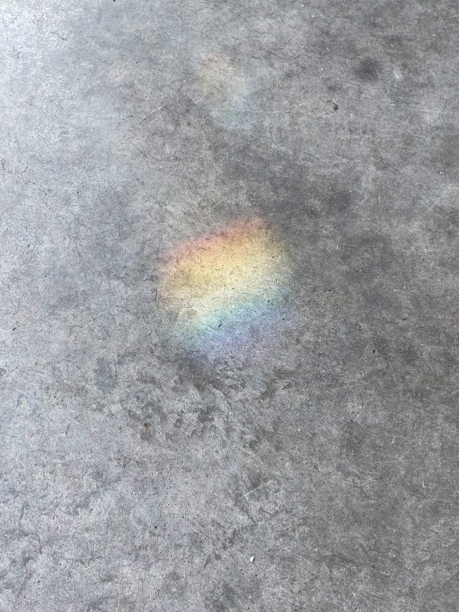 MelanieLybarger's tweet photo. #RandomRainbow
Spotted thisโฆ.garage floor at my sonโs house. #Love
โฅ๏ธ๐งก๐๐๐๐๐ https://t.co/t0yM886Qxv