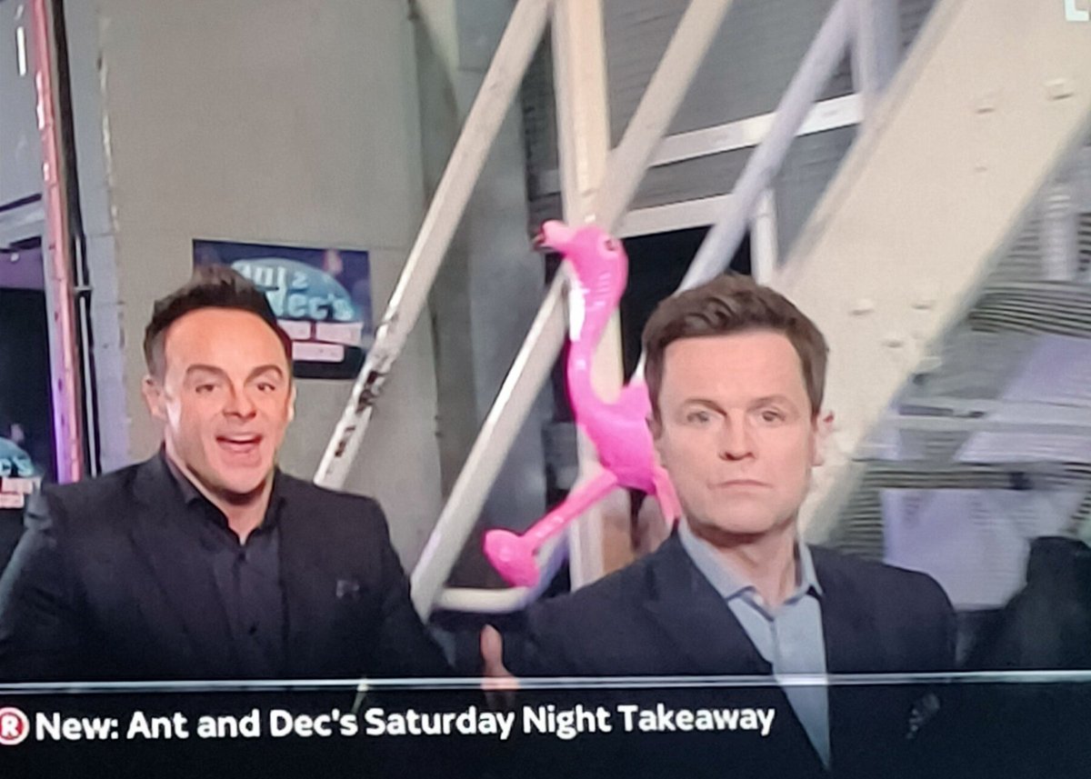 Melanieg77's tweet photo. @antanddec #ICanSeeYourThing 🦩🦩🦩 #SaturdayNightTakeaway https://t.co/MJ5JuFQlUy