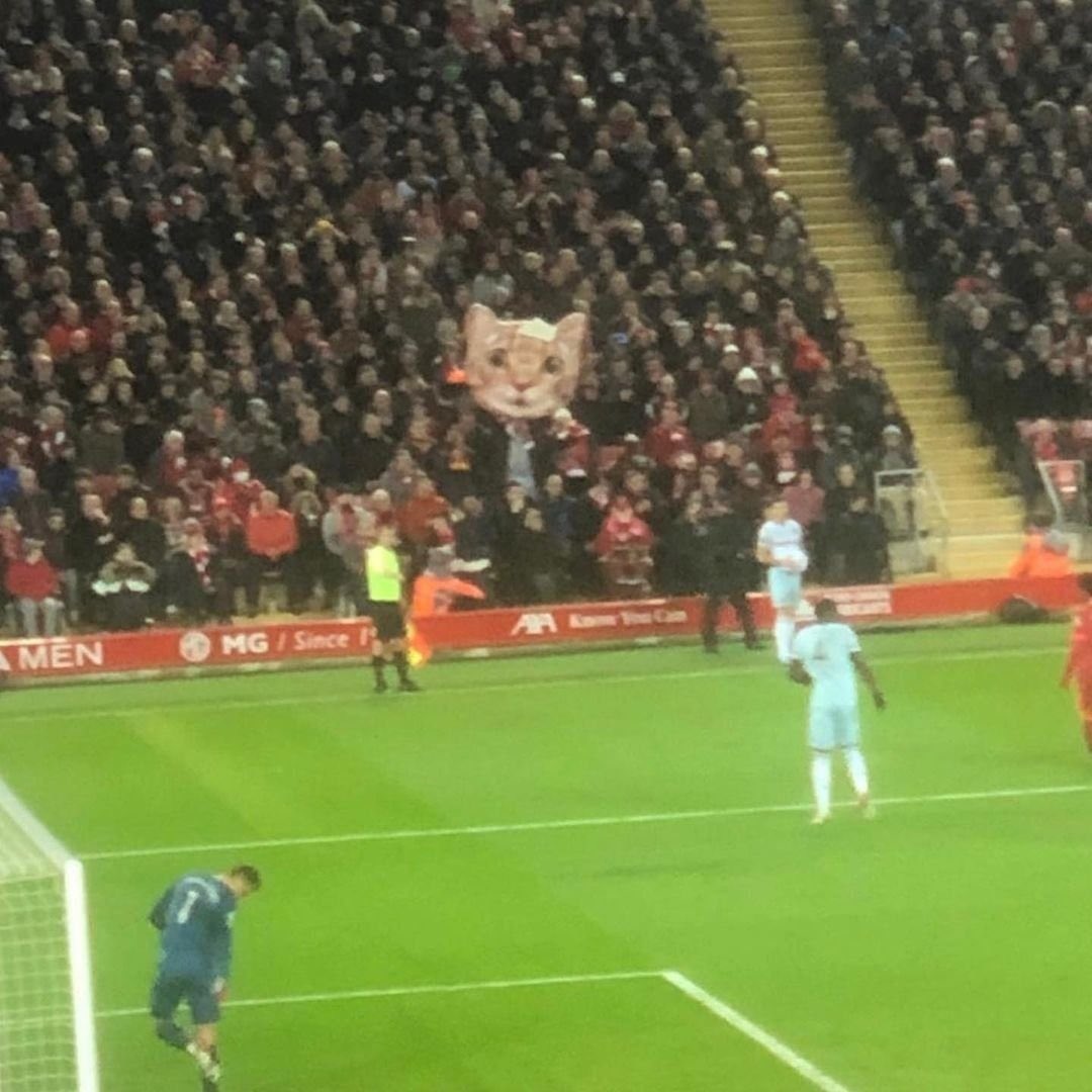 FootyHumour's tweet photo. Liverpool fans brought cut outs of cat heads to Anfield today to taunt Kurt Zouma 😭😂😂 https://t.co/IHC6cgQlTX