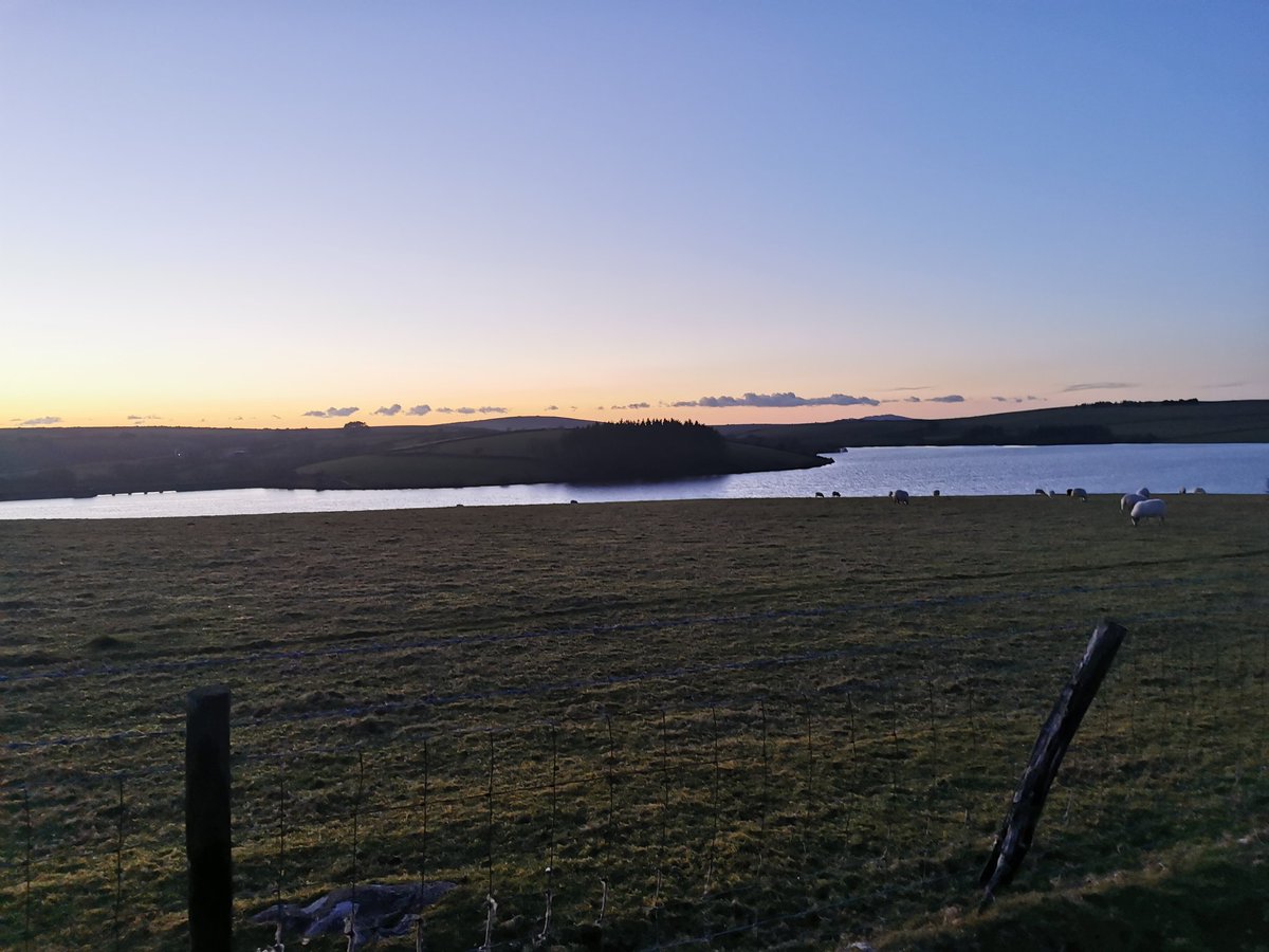 A gorgeous run around Siblyback Lake. #Cornwall #running #canicross