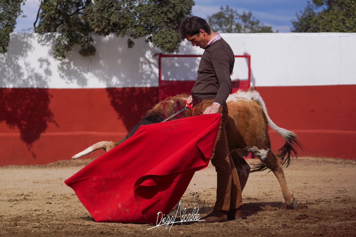 Buena mañana de toreo con el maestro <a href="/InfoDanielLuque/">Daniel Luque</a> en casa de <a href="/SanMartinToros/">Ganadería San Martín</a> y <a href="/TorosCarmen/">Ganaderia Carmen Valiente</a> 
<a href="/zunigatoros/">Carlos Zúñiga</a> <a href="/GrupoCeberTauro/">Grupo Ceber Tauro</a> <a href="/DIEGOALCALDE1/">DIEGO ALCALDE</a>