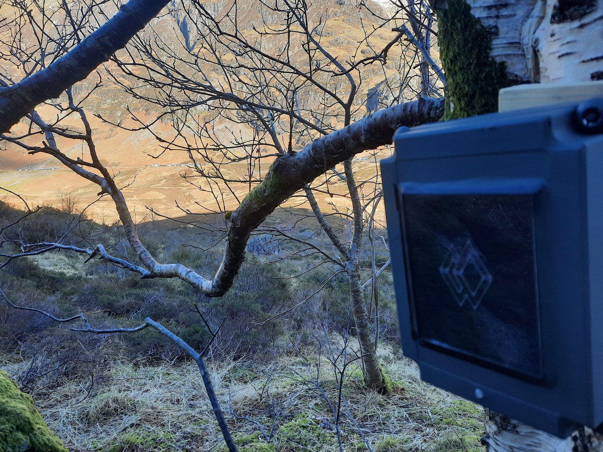 Dane Ralston tweet media