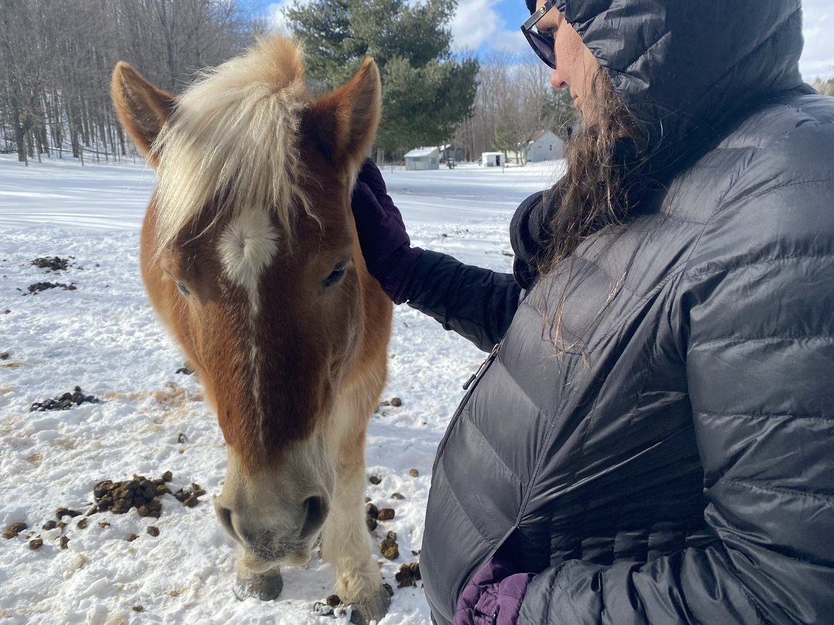 vickithewriter's tweet photo. I just spent a week in Northern Michigan with therapy horses and @TJBerden doing research for a feature I’m writing &amp; he’s producing. It was MAGICAL. 😍🐴💫 https://t.co/ppuV0UMIpU