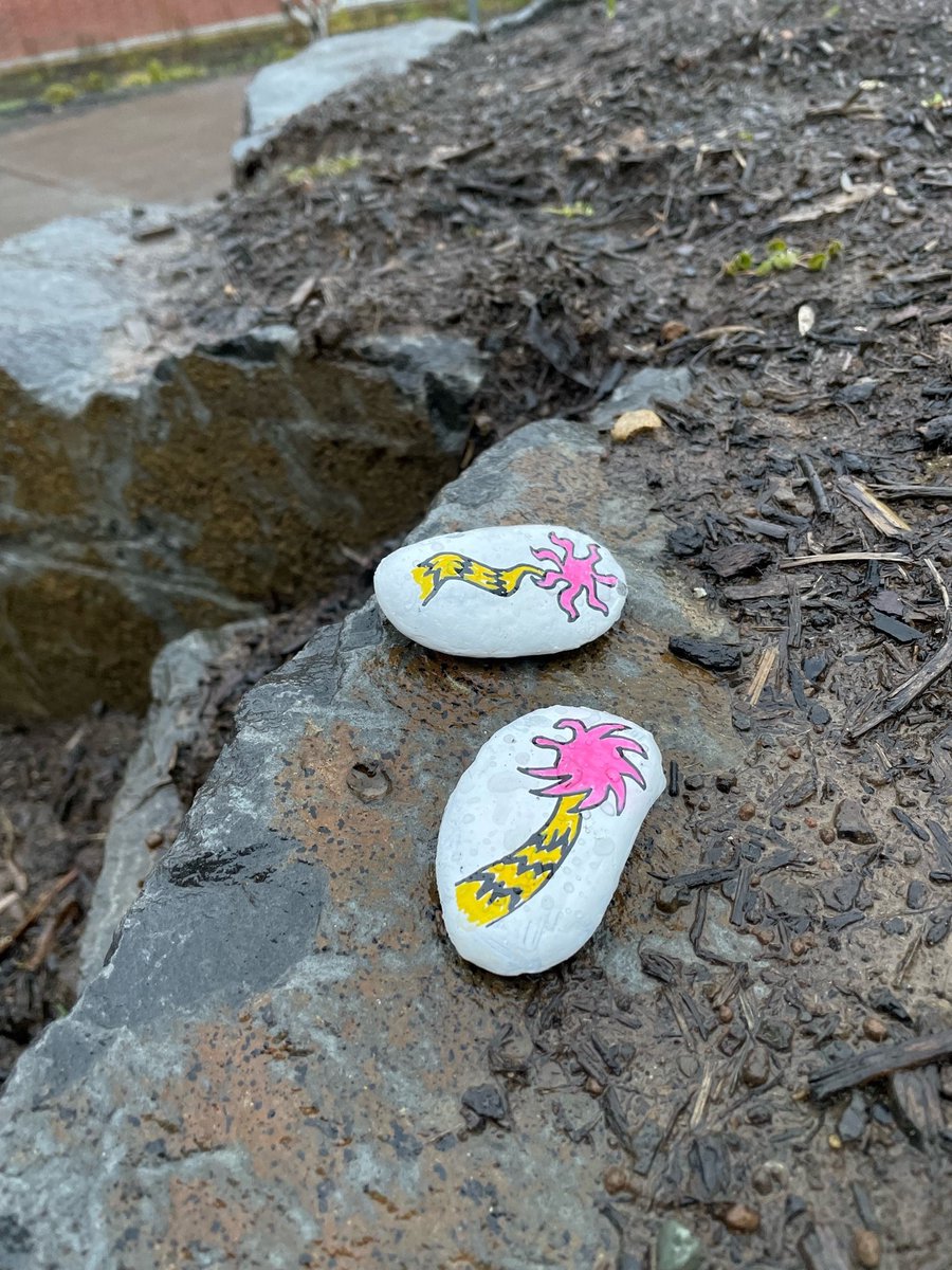 TigardLibrary's tweet photo. Painted rocks were left behind
A fun surprise, and very kind!
You never know what you will see
When you visit Tigard's Library!
#Tigard #TigardLibrary #PaintedRocks #LibraryRocks #DrSeuss https://t.co/DgBsjQgU6W