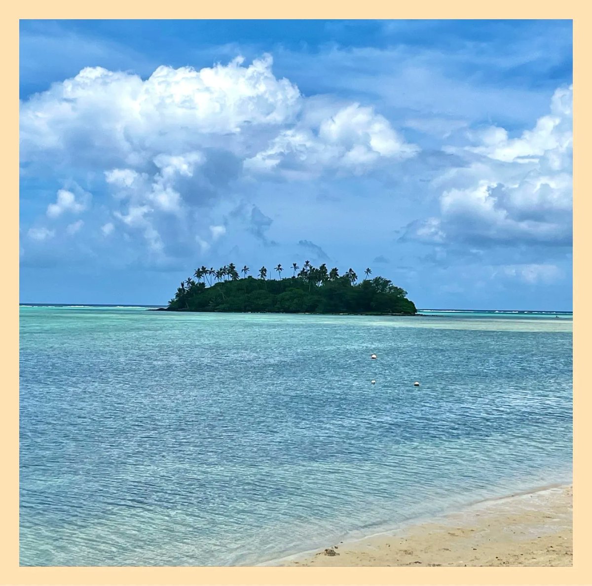 Saturday afternoon beach vibes @ Muri. The perfect island paradise 🏝😎☀️🌴🦀