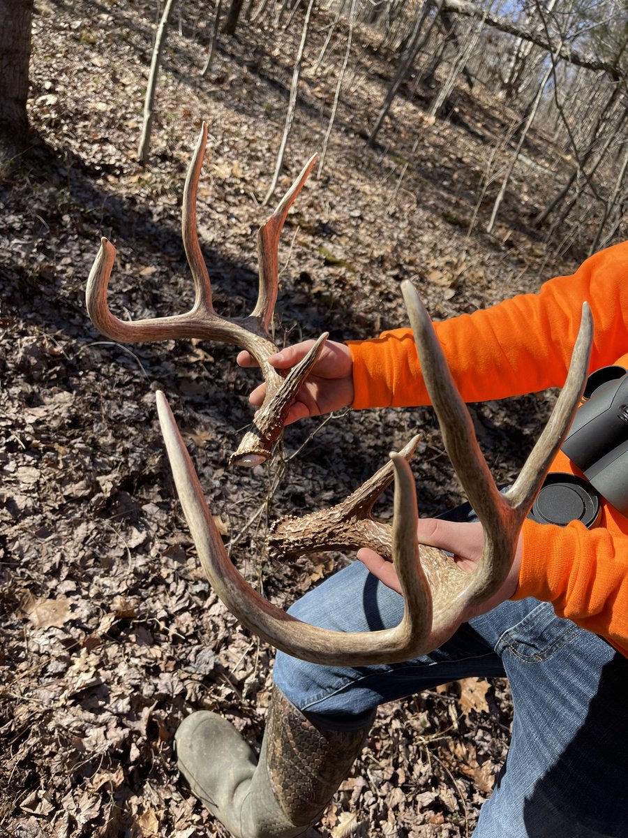 Awesome set found by <a href="/parsons_branden/">Branden_parsons</a>