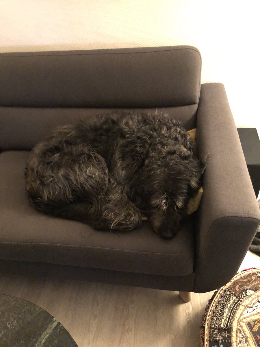 Daniel Henrichs tweet media