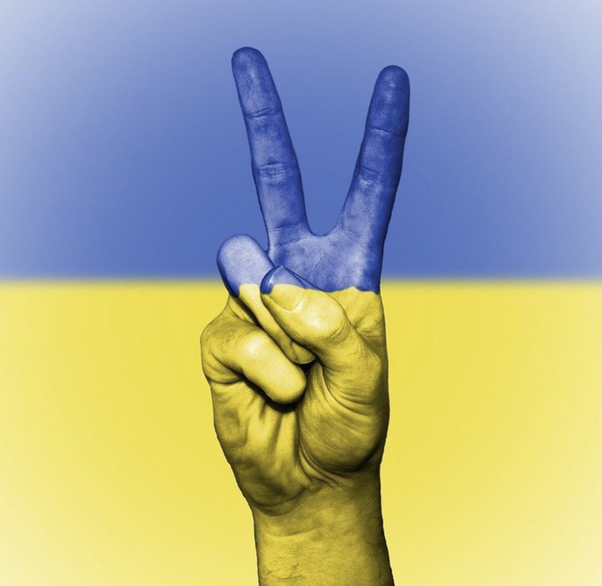 #StopRussianAggression #StandWithUkraine 🇺🇦