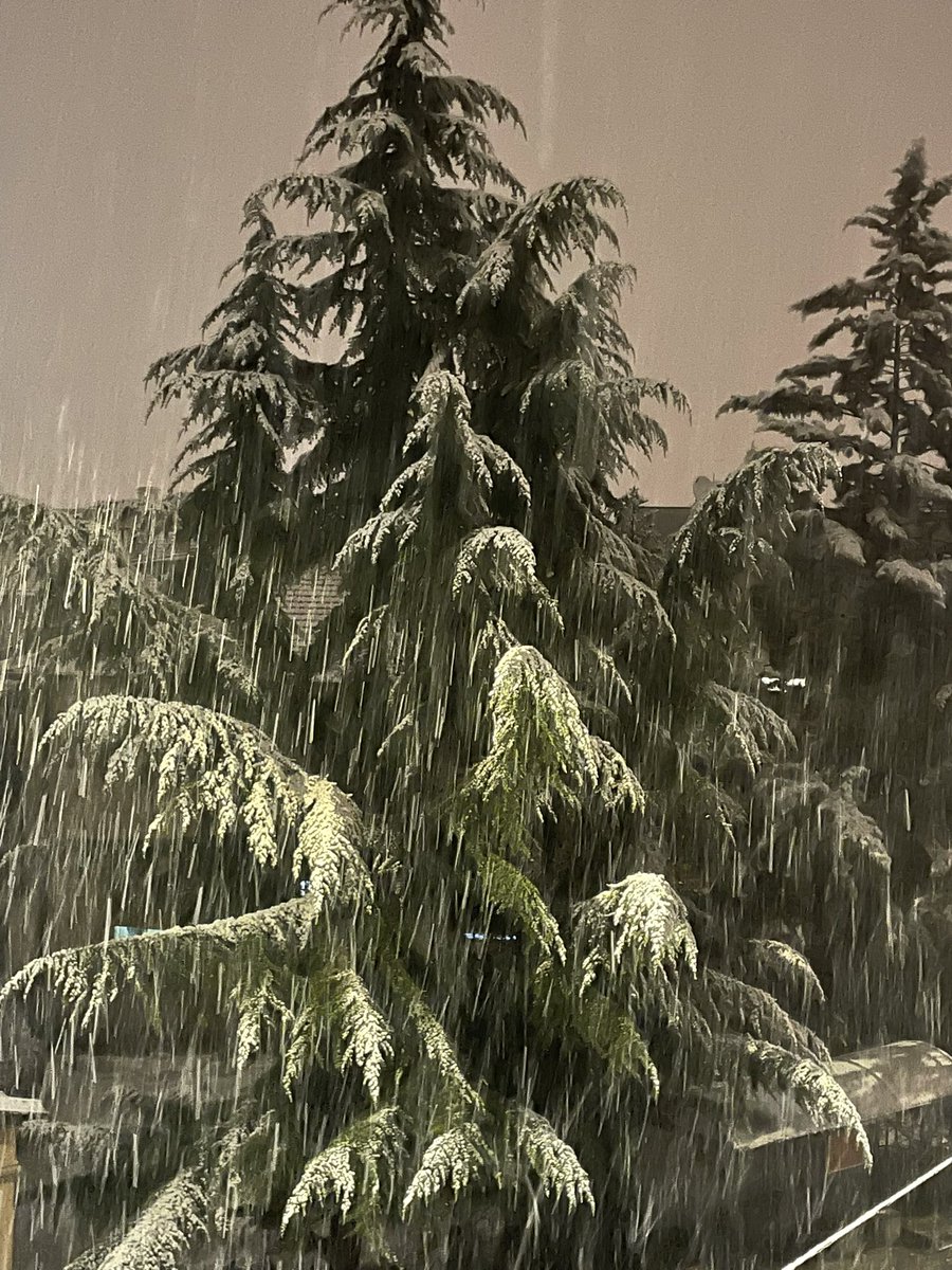 Март❄️❄️