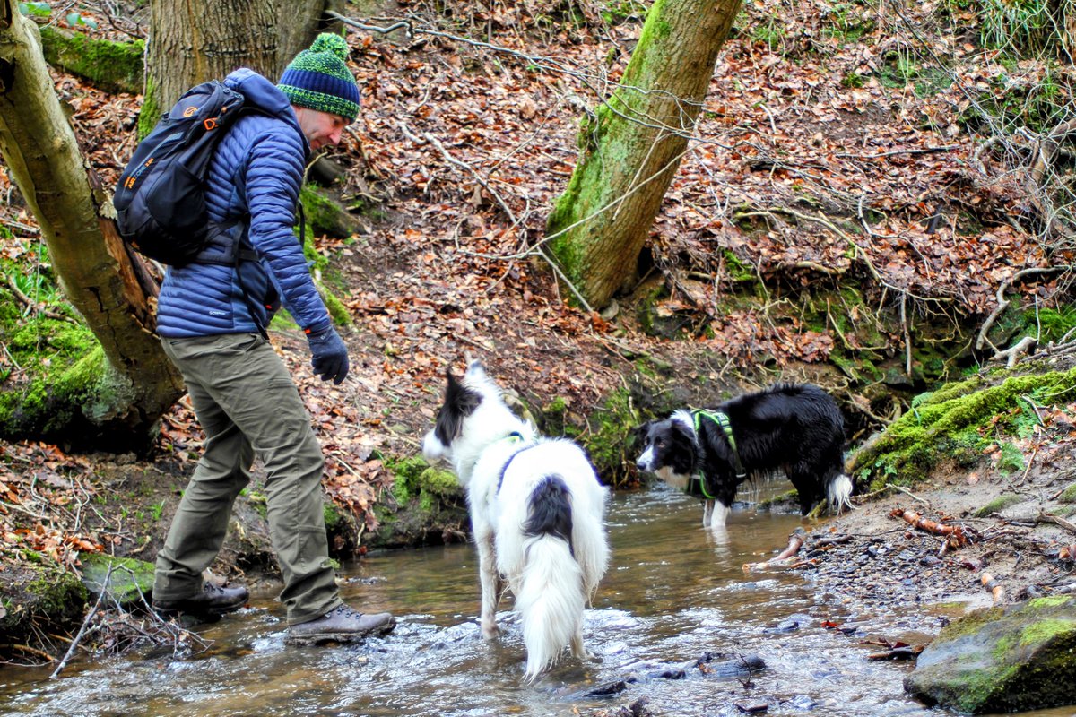 Toni0750's tweet photo. Great walk today…. Very muddy we love enjoying the freedom of hiking on a weekend #SaturdayVibes #Saturday #fitness #walking #walkingfamily https://t.co/o6bnQHO1Et