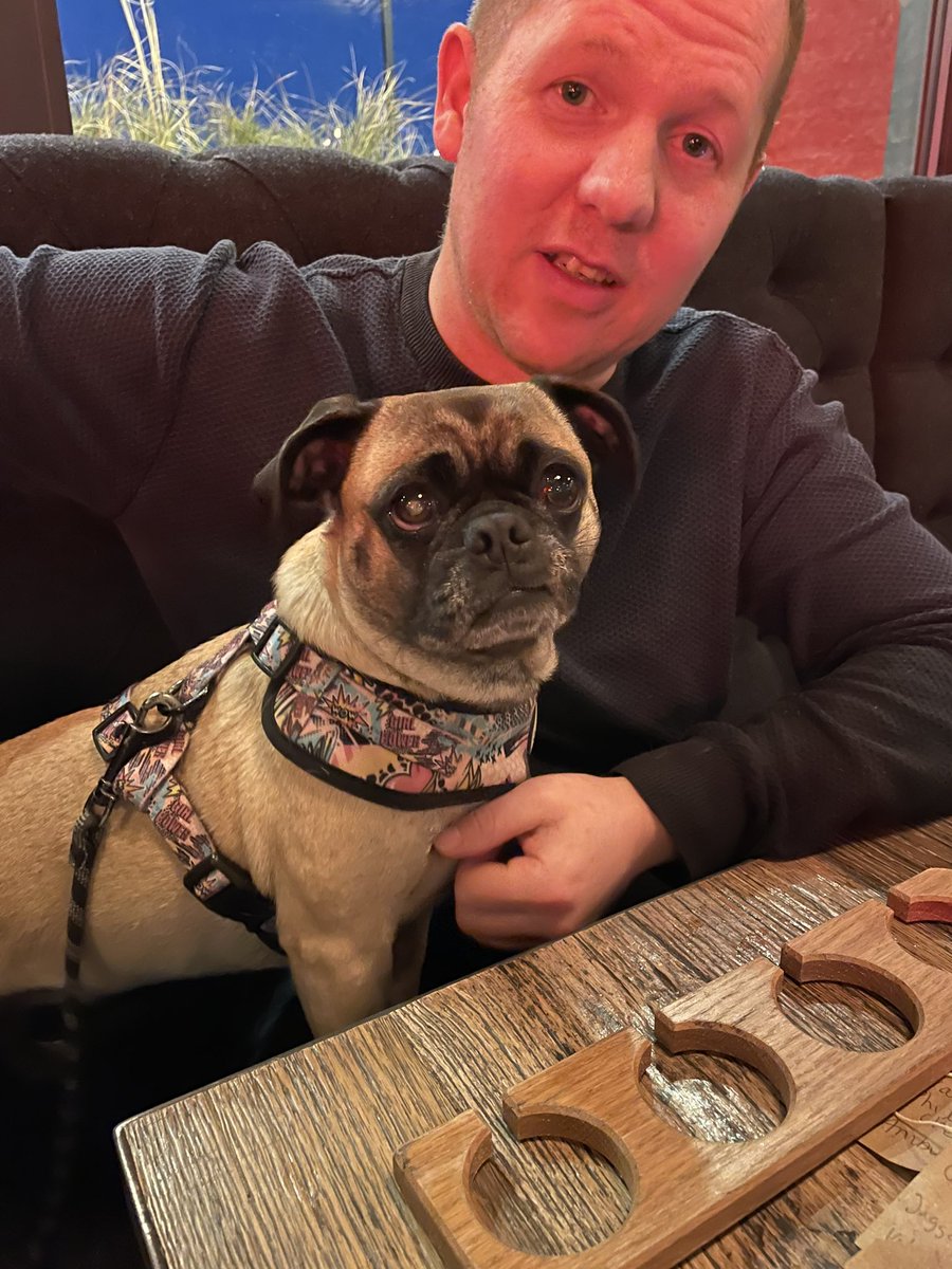 Dan G ISE (@dangpost) on Twitter photo Absolutely wonderful day in <a href="/BrewDogdublinop/">BrewDog Outpost Dublin</a> with my friend. Cracking place to bring the pooches Absolutely wonderful day in <a href="/BrewDogdublinop/">BrewDog Outpost Dublin</a> with my friend. Cracking place to bring the pooches
