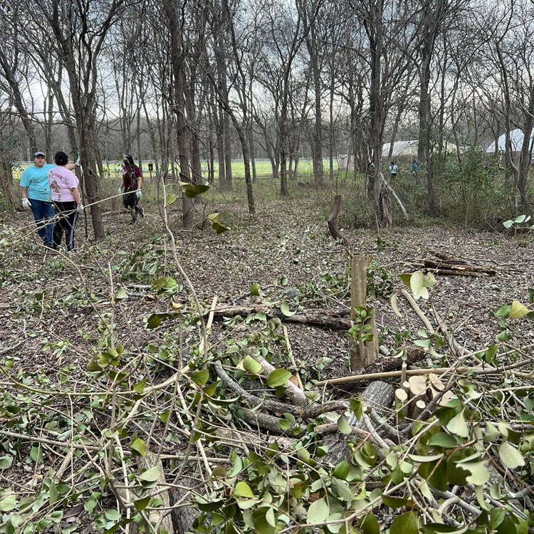 UTSA KDCHI tweet media