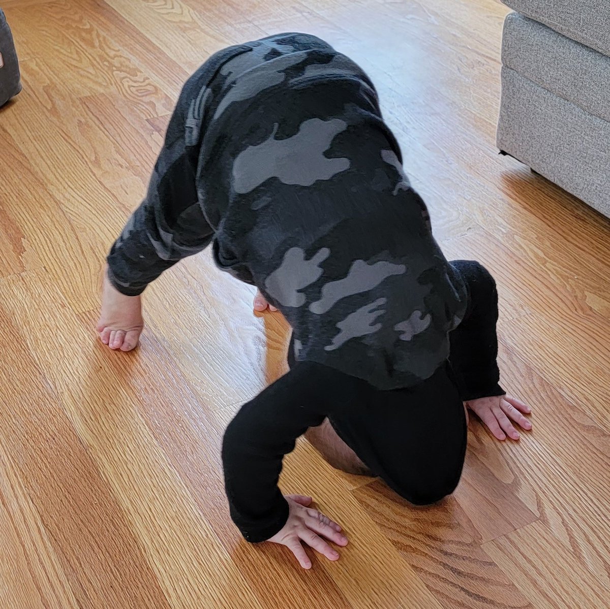InvestorsLive's tweet photo. My wife taught #BabyA2 some yoga #downwarddog 🧘‍♂️ 🙏 

https://t.co/lWpLVcFWuv https://t.co/PkXOw5fuXT