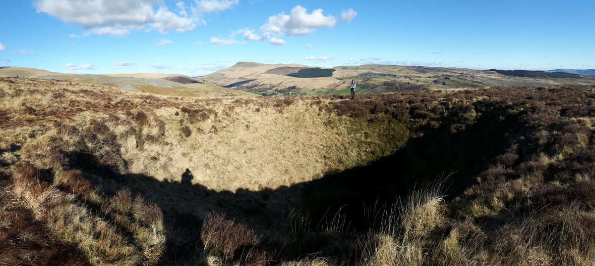 David Buchs tweet media