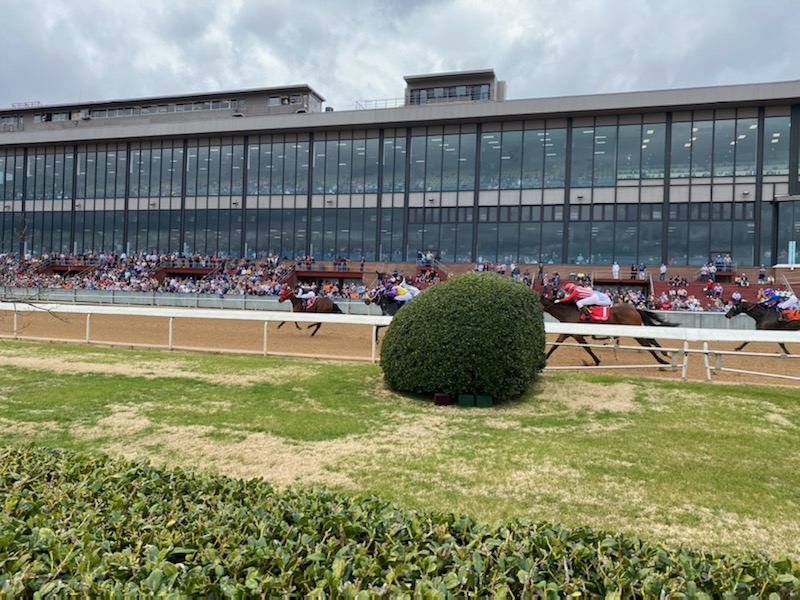 Thank you to <a href="/arhbpa/">ARHBPA</a> and <a href="/OaklawnRacing/">Oaklawn Hot Springs</a> for hosting an amazing National HBPA Conference! It was a great event for horsemen to come together and share ideas and information.
