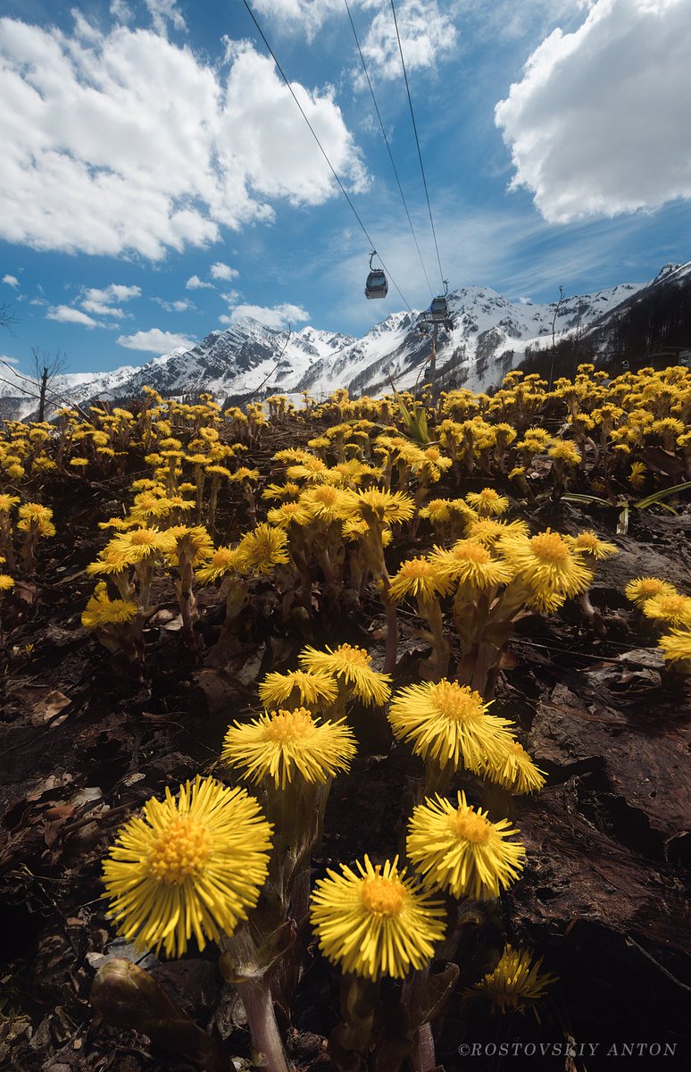 Russian Embassy, UK tweet media