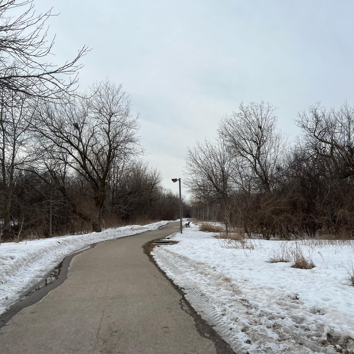 kunrup's tweet photo. Saturday afternoon run 🏃‍♂️ #etobicokecreektrail #Brampton #keepmotivating #KeepRunning #runnersdiary https://t.co/snNlcwIAAg