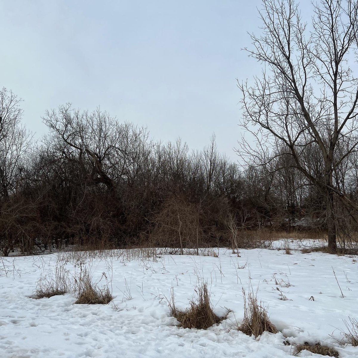 kunrup's tweet photo. Saturday afternoon run 🏃‍♂️ #etobicokecreektrail #Brampton #keepmotivating #KeepRunning #runnersdiary https://t.co/snNlcwIAAg