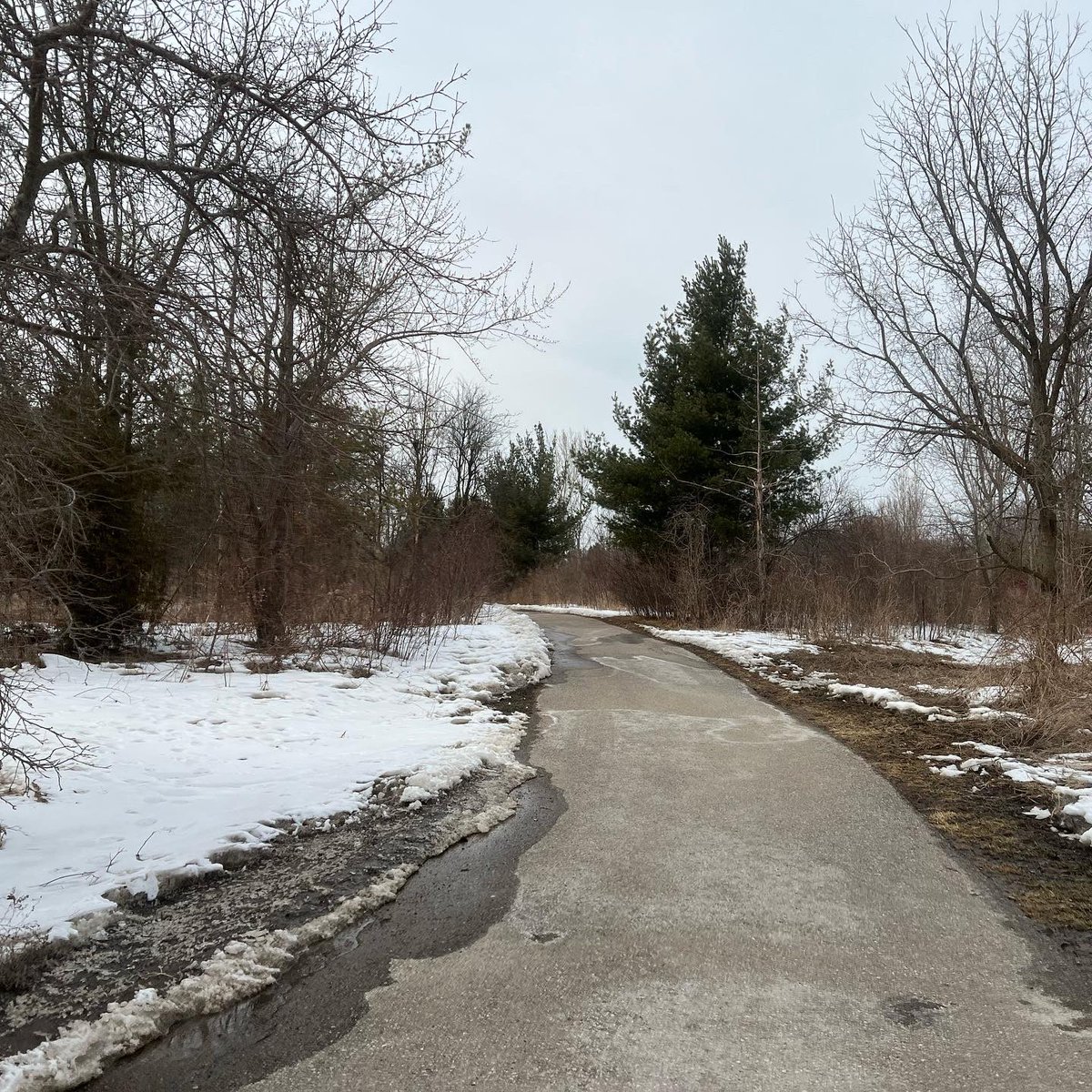 kunrup's tweet photo. Saturday afternoon run 🏃‍♂️ #etobicokecreektrail #Brampton #keepmotivating #KeepRunning #runnersdiary https://t.co/snNlcwIAAg
