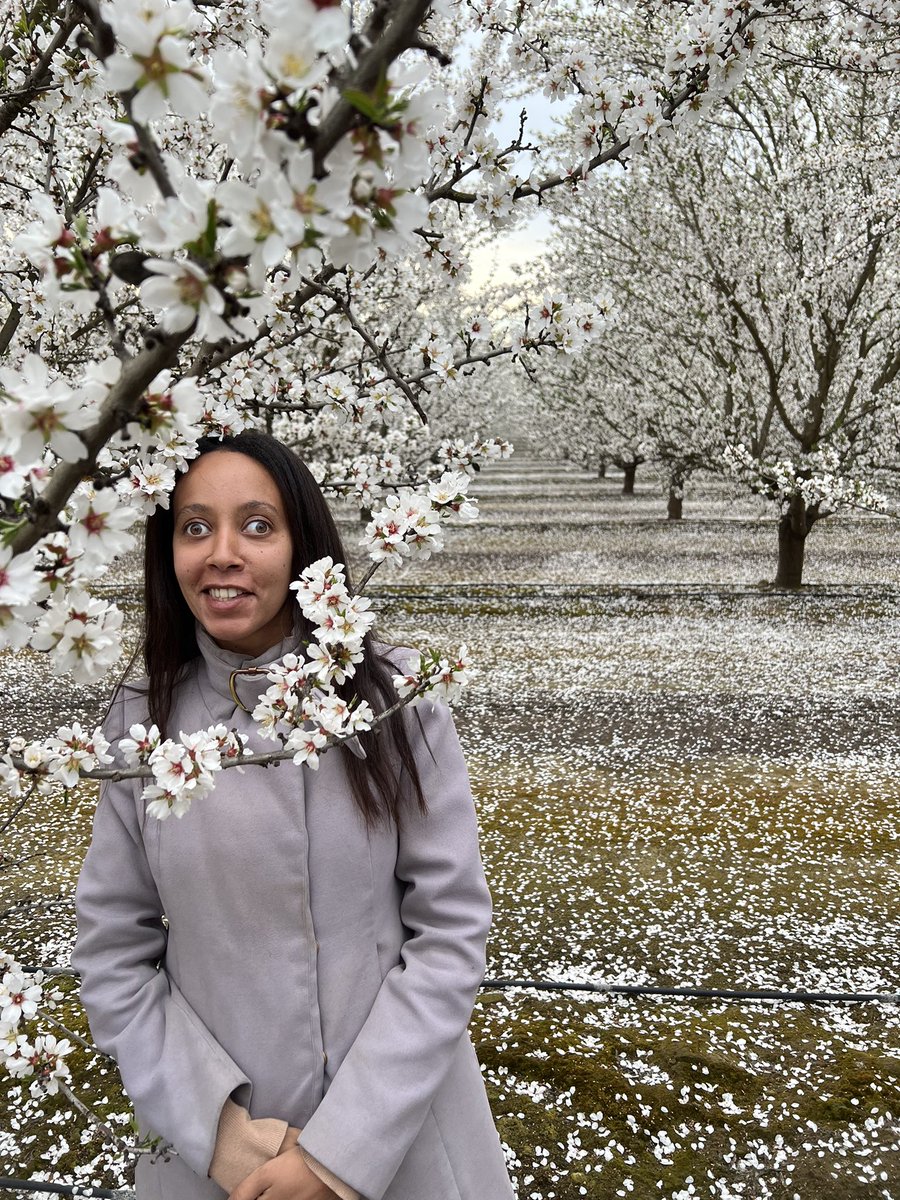 Another glorious disability rights win! The Los Angeles Community College District finally agreed to drop its appeal to the Supreme Court, saving civil rights protections for millions of disabled people. We did it! Congratulations!!! #a11y