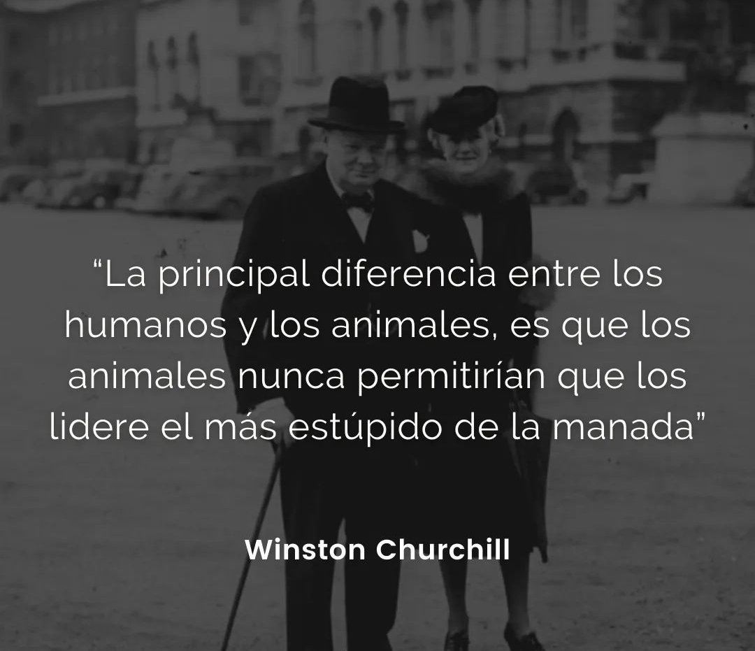 Reflexión Churchill vía <a href="/HannaArranz/">Hanna Arranz</a>