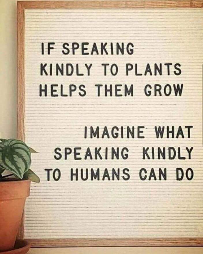 Brad Weinstein tweet media