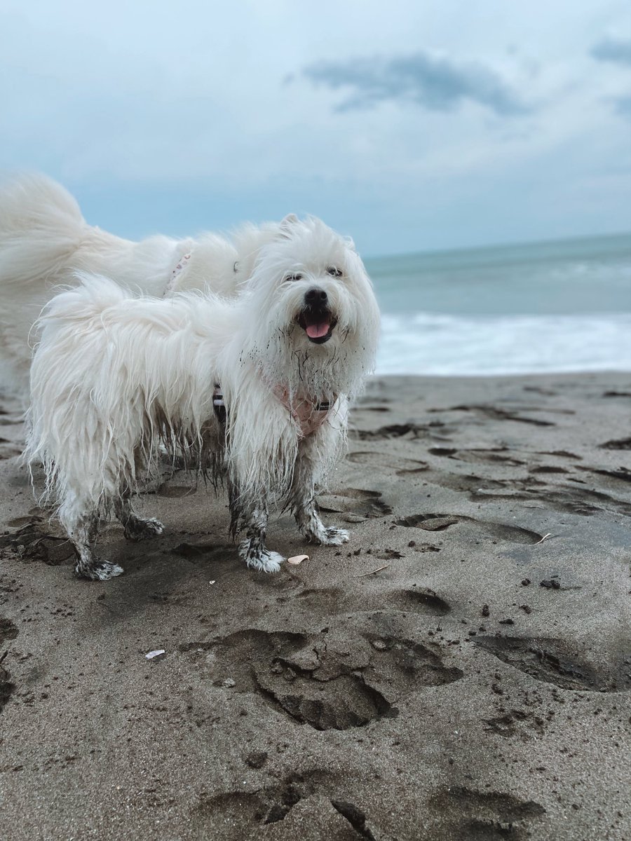 Who else loves beach trips !?😍
We love going to the beach 🤍