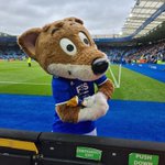 Photo by matt (@Lcfcplayers)