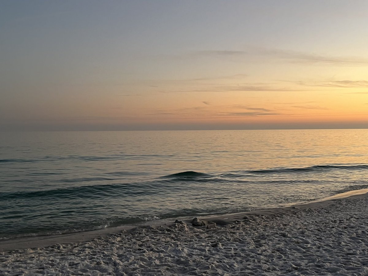 DBvinal's tweet image. This place looks amazing. I will be back, someday soon. @EnjoyPcolaBeach #beachlife