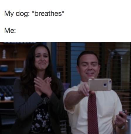 Cali_thesuperaussie tweet media