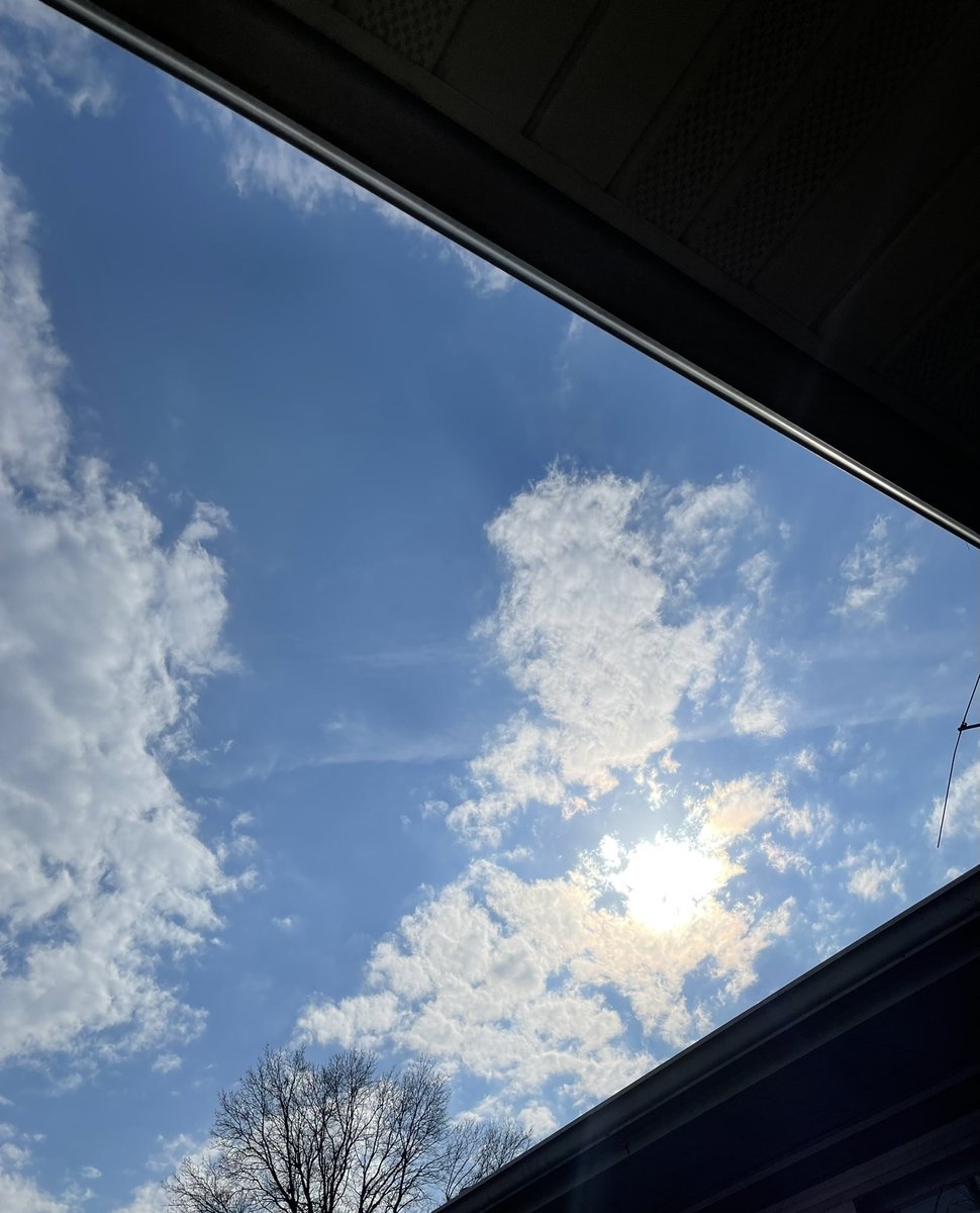 MariannaDeBolt's tweet photo. Got a chill from my rain shower inspecting dead wood earlier and now that I’m home the sun came out, feels so good. #skies #sun #needwarmth https://t.co/HCIkLcy4VK