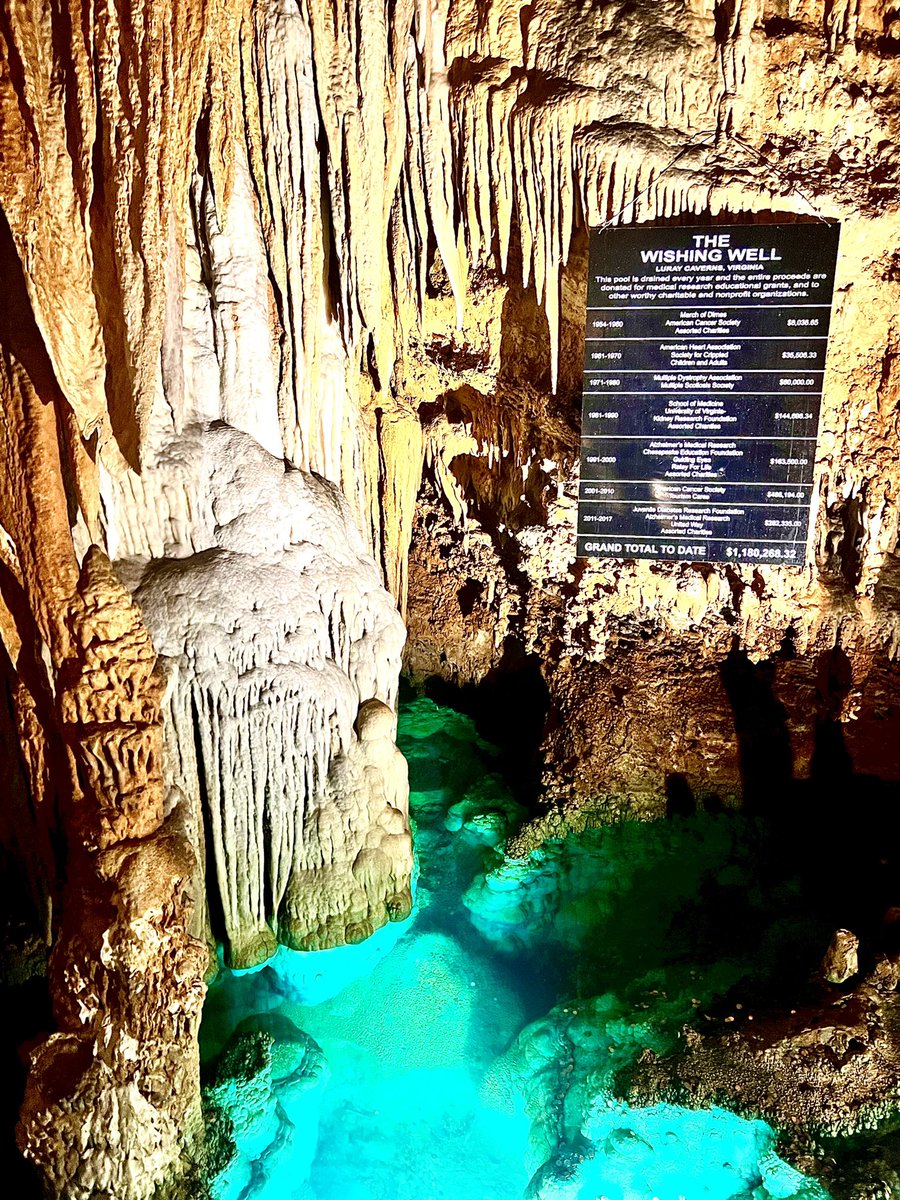 Te pediría una y otra vez